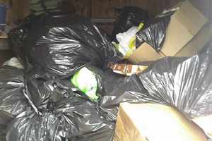 Trash Removal
