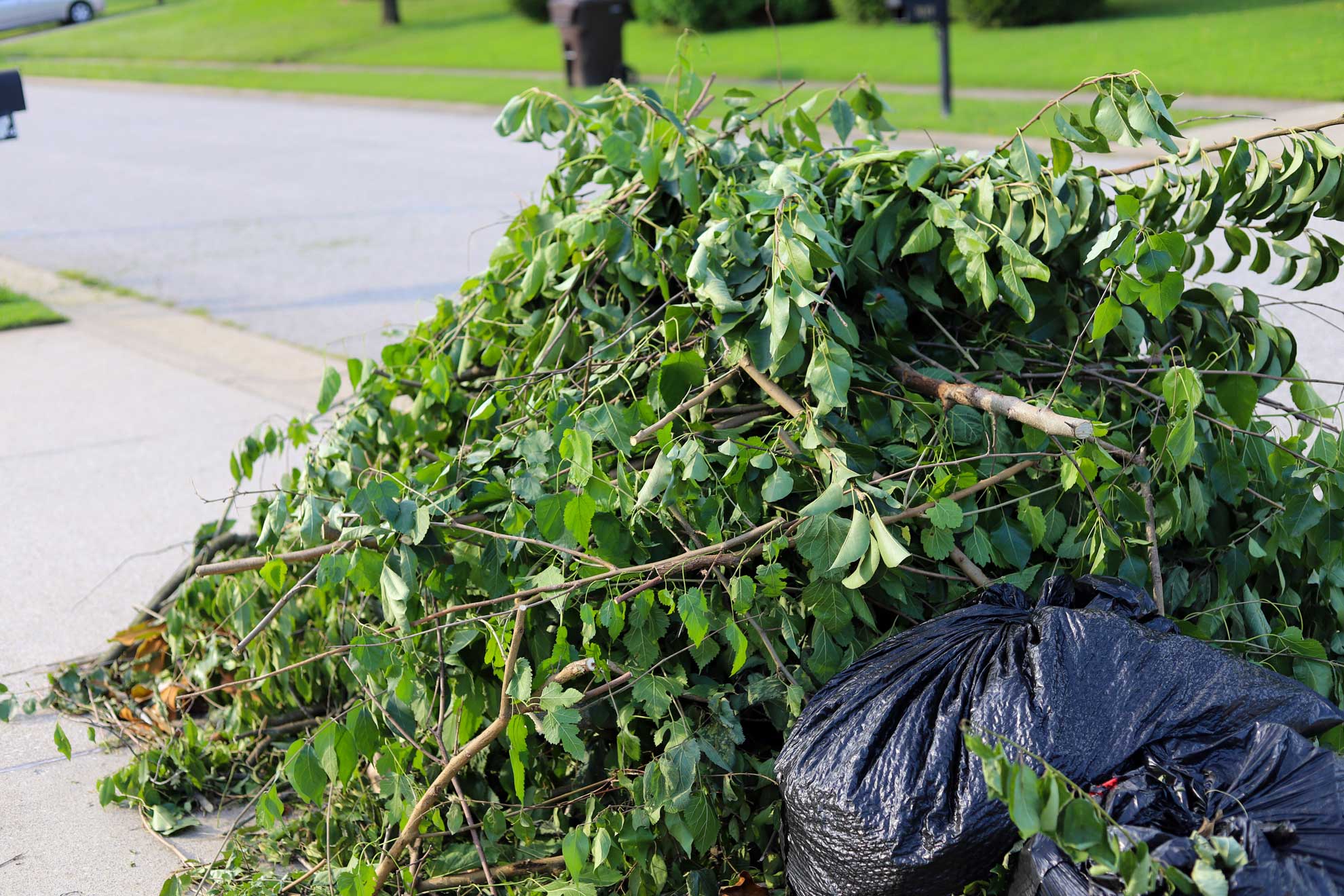 Bag full of yard debris at the side of the road